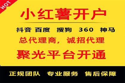 竞价端口开户全攻略，案例分析